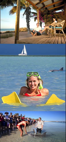  Phillip Island Accommodation