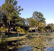 Twin Lakes Hotel - Phillip Island Accommodation