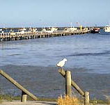 Seaview Motel and Holiday Units