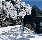 Arlberg Hotel Mt Buller - Phillip Island Accommodation