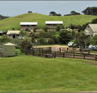 Ace Hi Riding Ranch - Phillip Island Accommodation