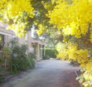 Surfcoast Retreat - Phillip Island Accommodation