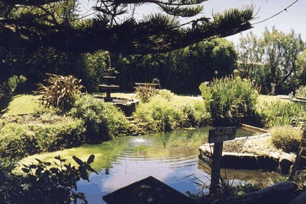 Bayside Gardens - Phillip Island Accommodation
