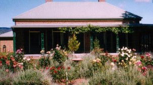 Book Mudgee Accommodation Vacations Phillip Island Accommodation Phillip Island Accommodation