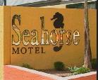 Seahorse Motel - Phillip Island Accommodation 1