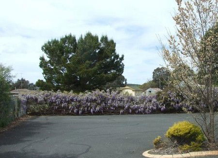 Lilac City Motor Inn & Streakhouse - Phillip Island Accommodation 1