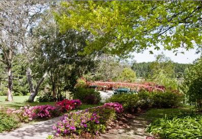 Bilpin Resort - Phillip Island Accommodation 2