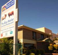 Cattle City Motor Inn - Phillip Island Accommodation