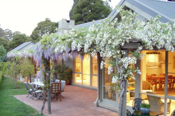 Mount Tomah NSW Phillip Island Accommodation