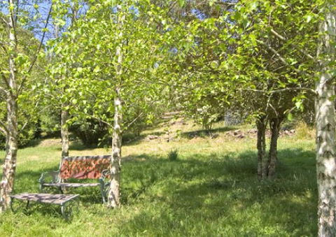 Tomah Mountain Lodge - Phillip Island Accommodation 2