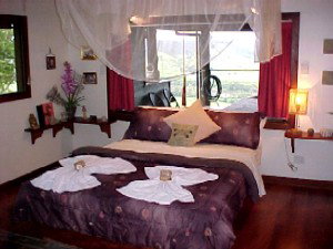 Daintree Cloud 9 - Phillip Island Accommodation 0