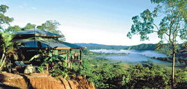Daintree Cloud 9 - Phillip Island Accommodation 1