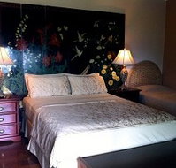 Daintree Manor