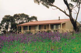 Armagh SA Phillip Island Accommodation