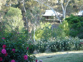Watervale SA Phillip Island Accommodation