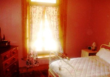 Old Willows Country Estate - Phillip Island Accommodation 3
