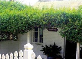 Peppertree Cottage Bed And Breakfast - Normanville - Phillip Island Accommodation 1