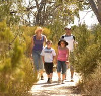 Long Island Caravan Park Cabins - Phillip Island Accommodation