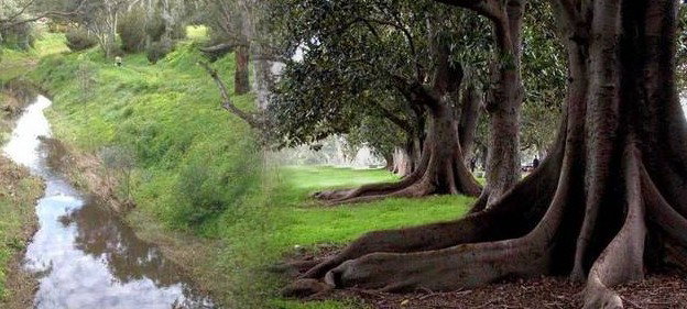 Gawler SA Phillip Island Accommodation