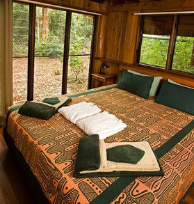 The Canopy Rainforest Tree Houses And Wildlife Sanctuary - Phillip Island Accommodation 2