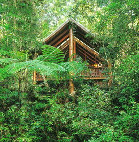The Canopy Rainforest Tree Houses And Wildlife Sanctuary - Phillip Island Accommodation 5
