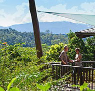 Rose Gums Wilderness Retreat - Phillip Island Accommodation