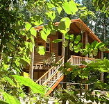 Rivers Edge Rainforest Retreat - Phillip Island Accommodation