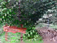 Rivers Edge Rainforest Retreat - Phillip Island Accommodation 4