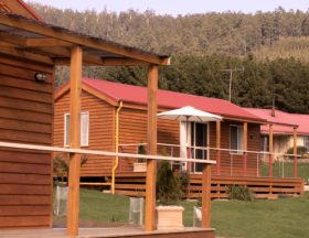 Maydena Country Cabins Accommodation & Alpaca Stud - Phillip Island Accommodation 0
