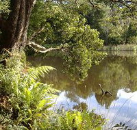 Weldborough Camping Ground - Phillip Island Accommodation