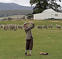 Park House Accommodation