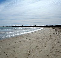 Greens Beach Caravan Park - Phillip Island Accommodation