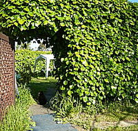 Kirra Guest House - Phillip Island Accommodation