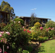 Mole Creek Holiday Village - Phillip Island Accommodation