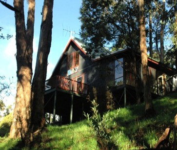 Tree Tops Cascades - Phillip Island Accommodation 2