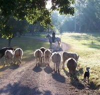 Brooloo Park - Phillip Island Accommodation