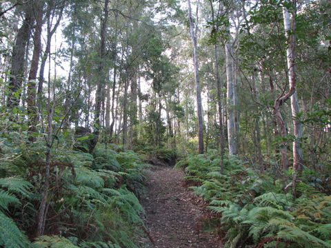 Maleny Country Cottages - Phillip Island Accommodation 1