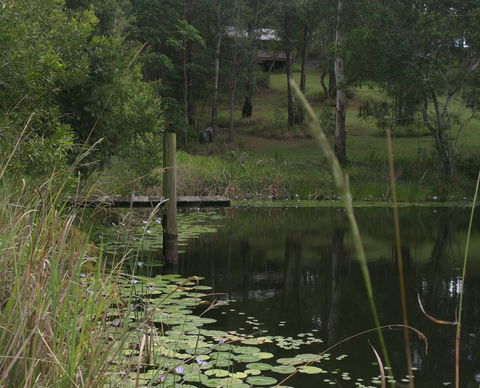 Maleny Country Cottages - Phillip Island Accommodation 4