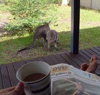 Bush and Bay Cottage - Phillip Island Accommodation