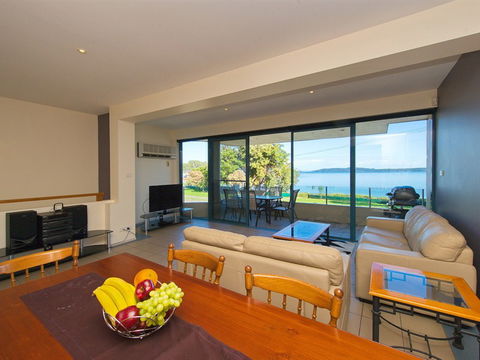 Dolphins - Phillip Island Accommodation 1