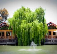 Perricoota Vines Retreat - Phillip Island Accommodation