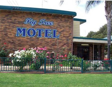 Fig Tree Motel - Phillip Island Accommodation 0