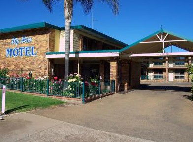 Fig Tree Motel - Phillip Island Accommodation 1