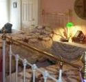 A Winter-Rose Cottage Bed and Breakfast - Phillip Island Accommodation