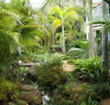 Chamomile Bed and Breakfast - Phillip Island Accommodation