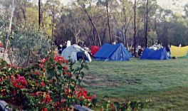 Possum Park - Phillip Island Accommodation 1