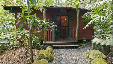 Springbrook Lyrebird Retreat - Phillip Island Accommodation 0
