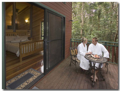 Springbrook Lyrebird Retreat - Phillip Island Accommodation 1