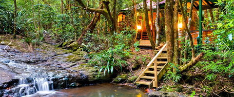 The Mouses House - Rainforest Retreat - Phillip Island Accommodation 0