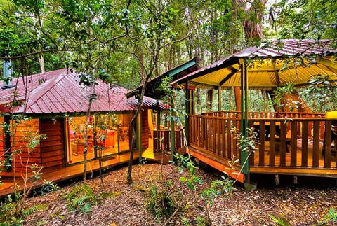 The Mouses House - Rainforest Retreat - Phillip Island Accommodation 4